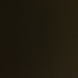 Meet your Posher, Rylee